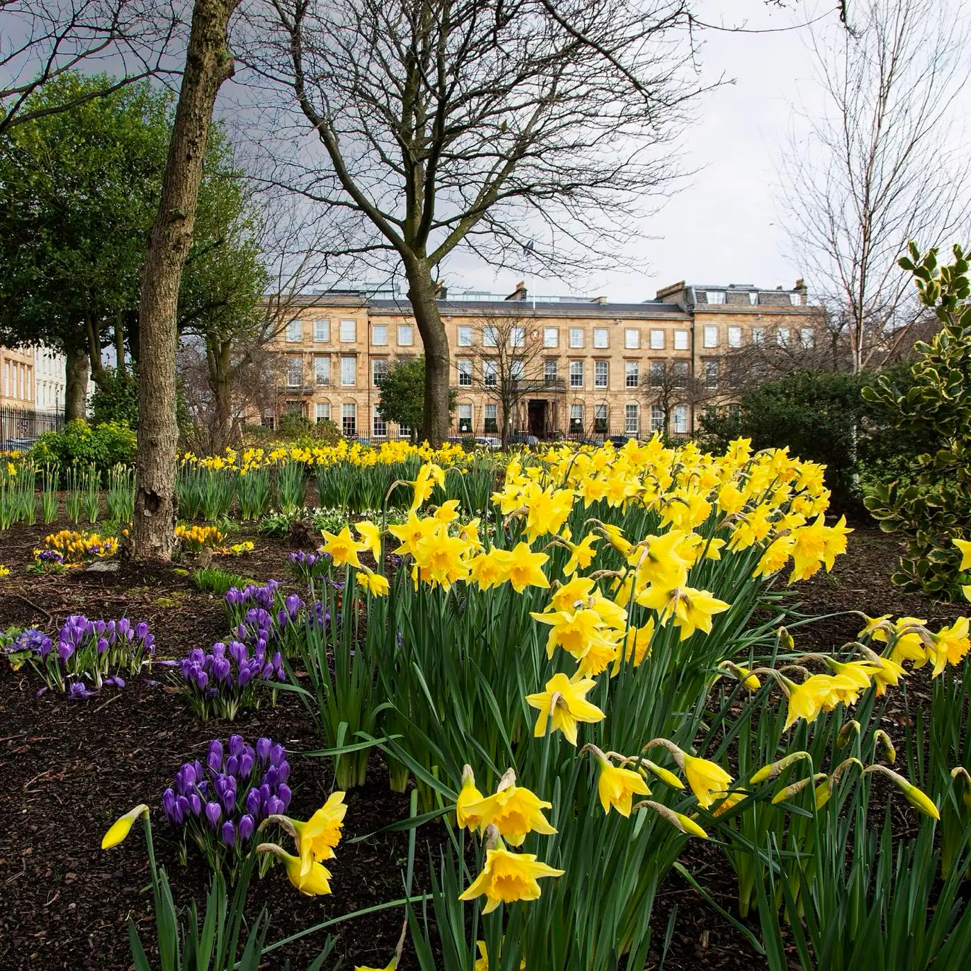 Springtime in Blythswood Square, Glasgow